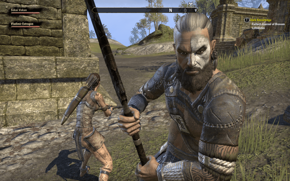 Vladimir Estragon, Dragonknight